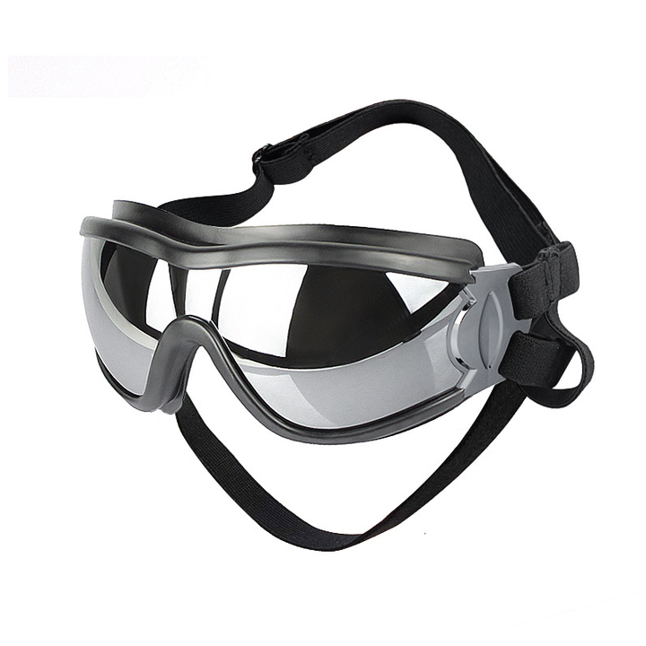 Lisslune | Outdoor Protection Glasses for Dogs