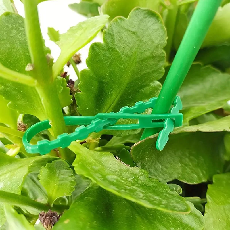 Lisslune | Plant fastening cable tie set for stable securing of plants