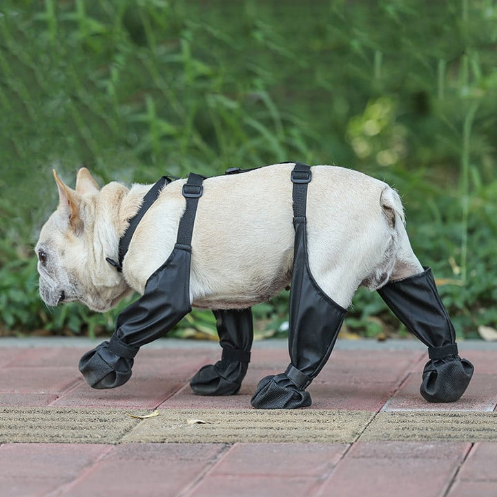 Lisslune | Suspender Boots