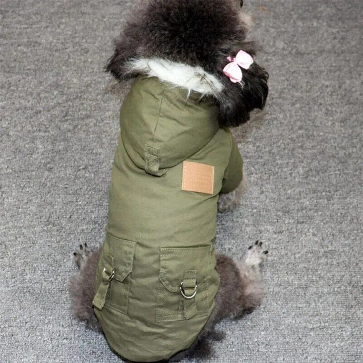 Lisslune | warm dog jacket