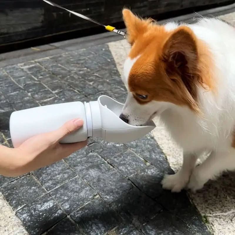Lisslune | LÉO VOYAGEUR – Foldable drinking bottle for dogs with leak protection & one-handed operation