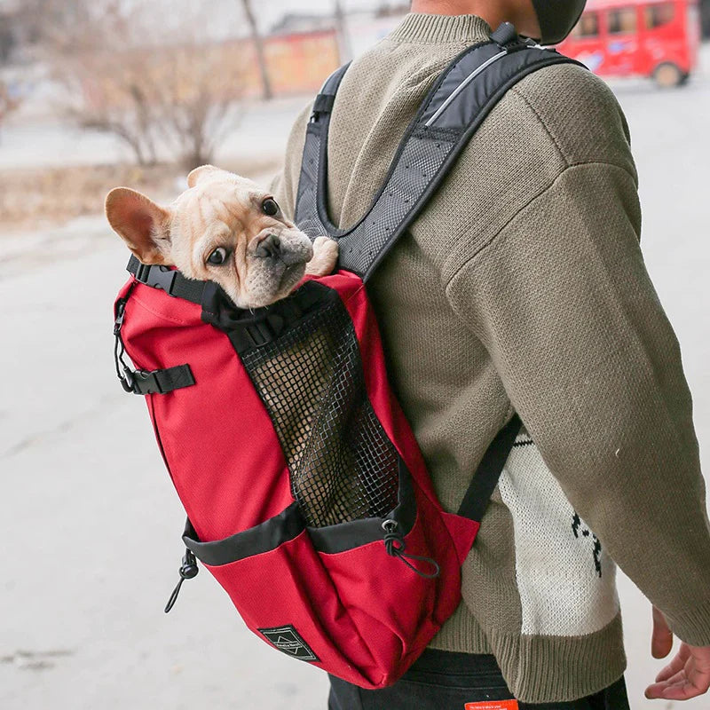 Lisslune | Dog Backpack – Comfortable Carrying Bag for Medium Dogs with Safety Strap and Storage Pockets