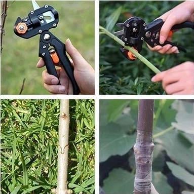 Lisslune | Garden Professional Grafting Cutting Tool