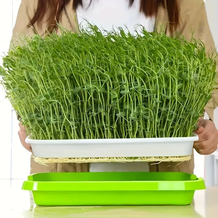 Lisslune | Germination trays with lid – Double-layer seed sowing tray for effective seed germination