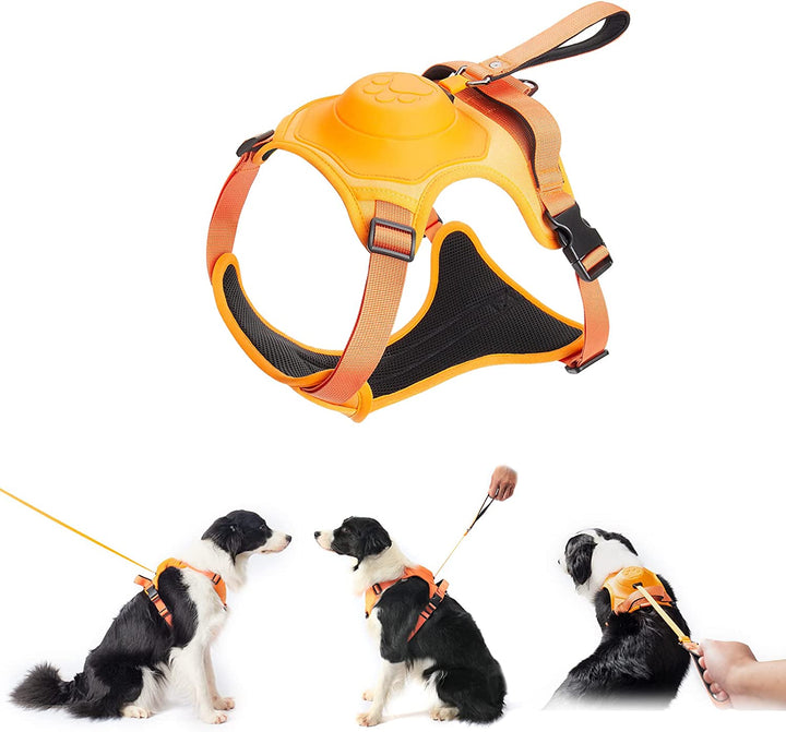 Lisslune | mamymarket™ - Dog Harness and Retractable Leash Set All-in-One