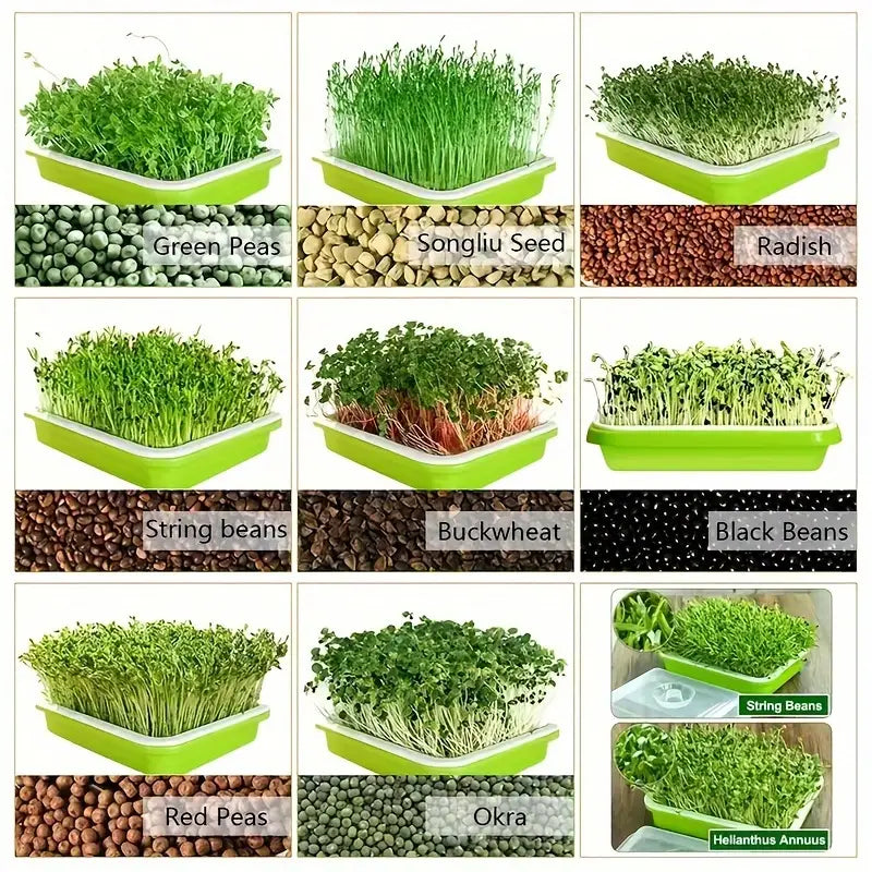 Lisslune | Germination trays with lid – Double-layer seed sowing tray for effective seed germination