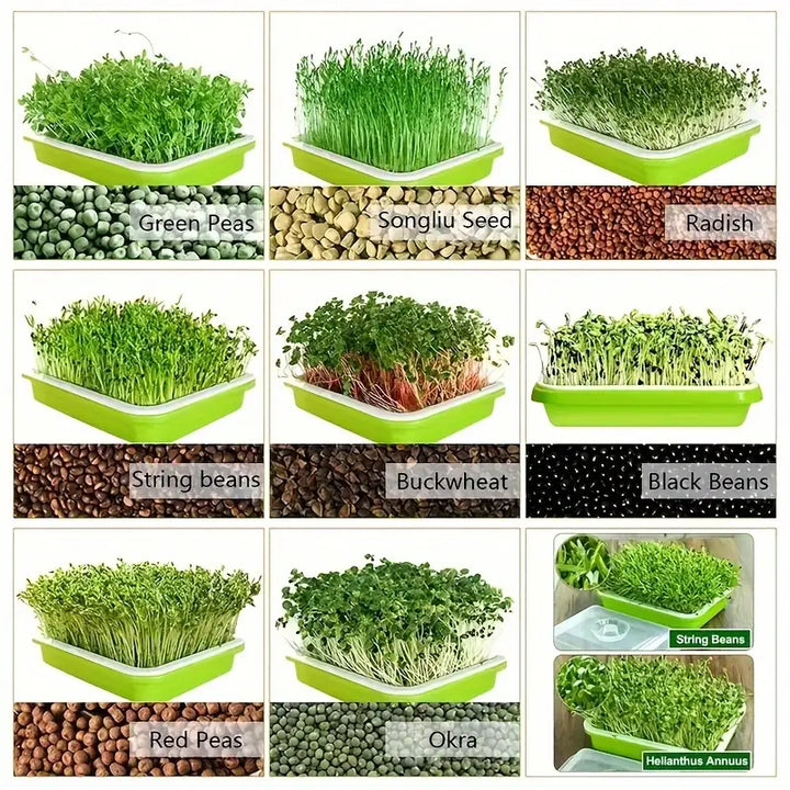 Lisslune | Germination trays with lid – Double-layer seed sowing tray for effective seed germination