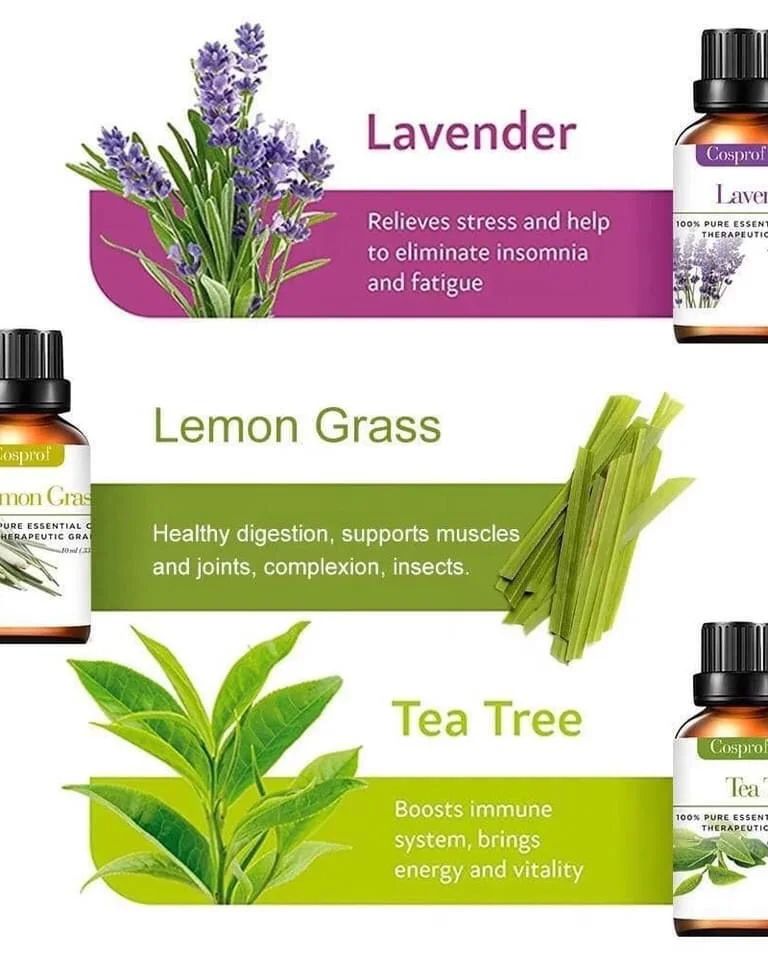 Lisslune | Set Of 12 Pure Essential Oils Gift Set