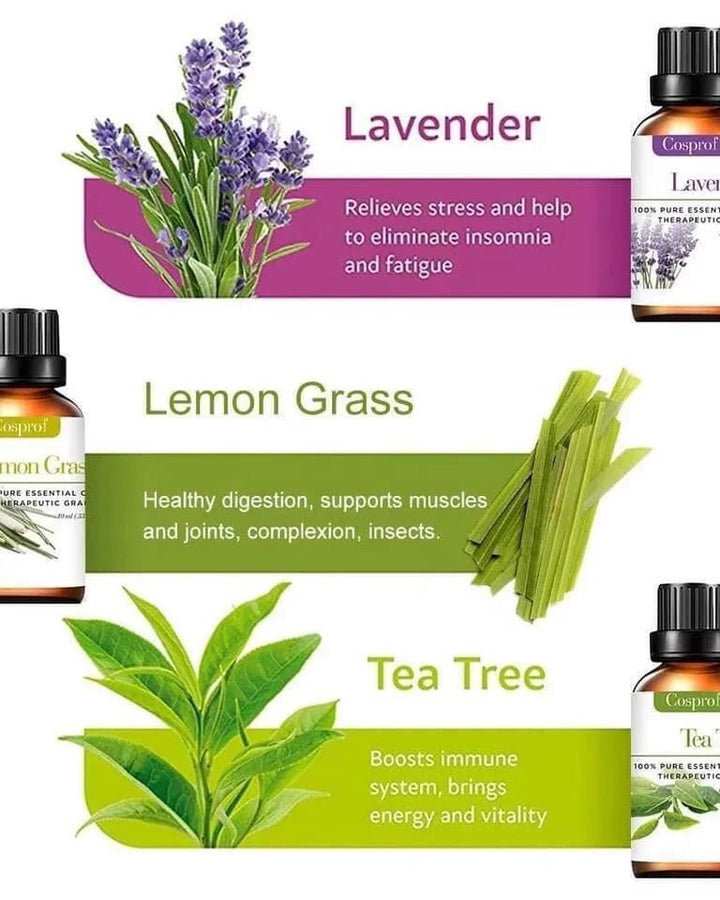 Lisslune | Set Of 12 Pure Essential Oils Gift Set