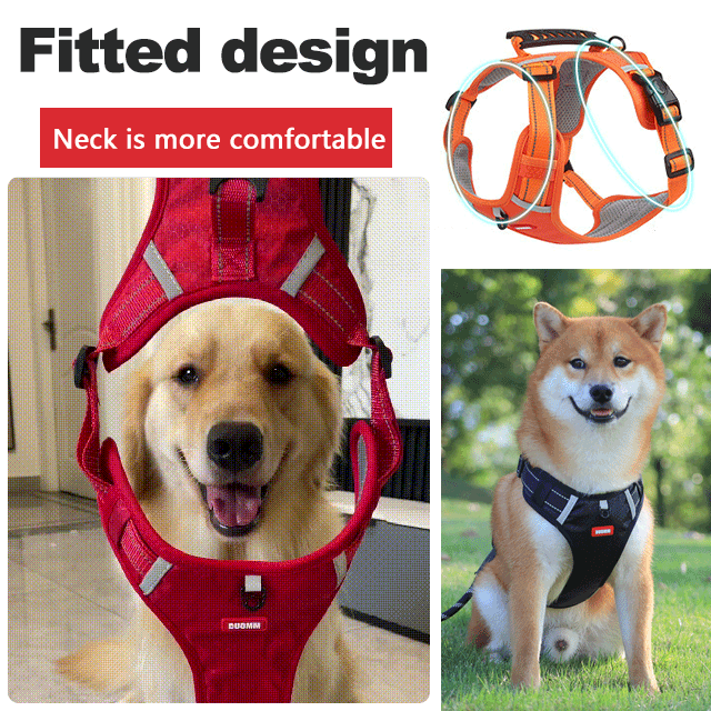 Lisslune | No Pull Dog Harness for Pets