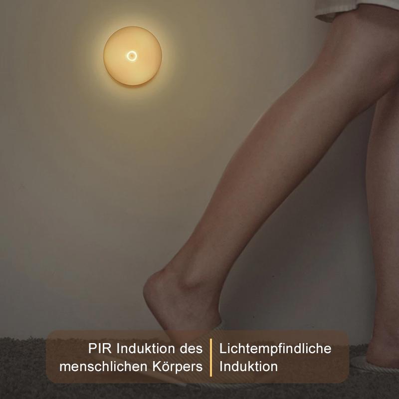 Lisslune | Intelligent human induction LED night light