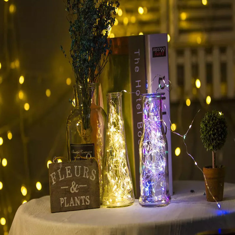 Lisslune | Decorative USB Copper Wire String Lights