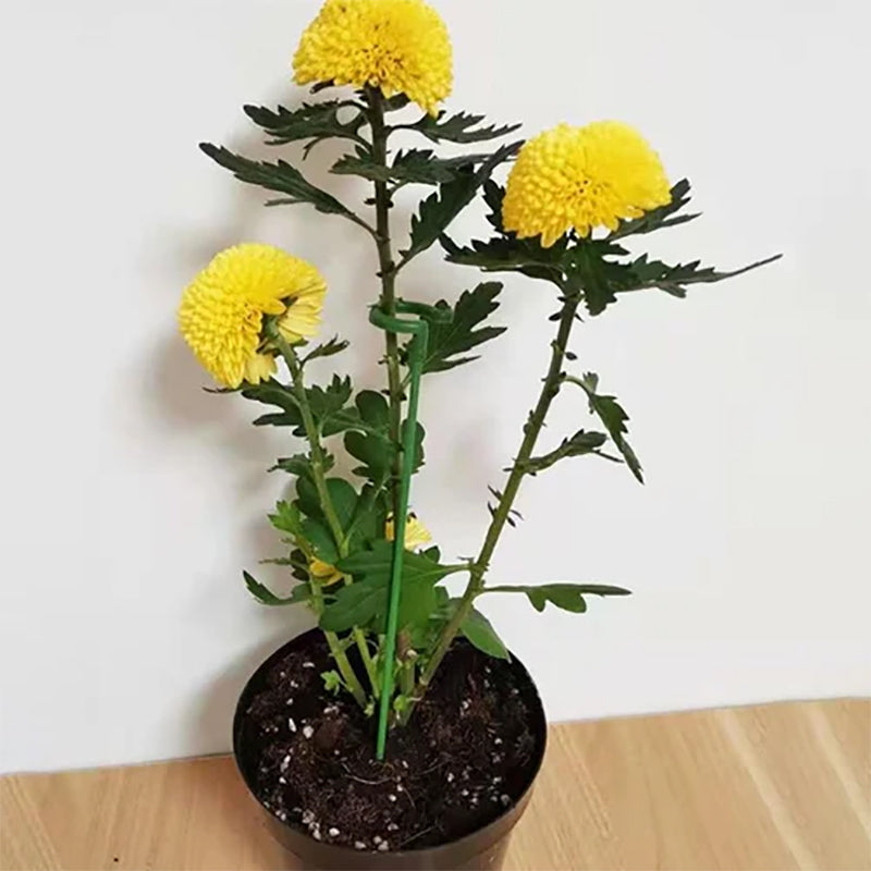 Lisslune | Plant support