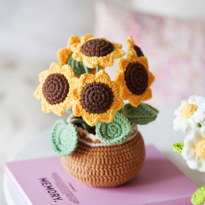 Lisslune | BloomCraft - Decorative flower pots for the elegance of your home