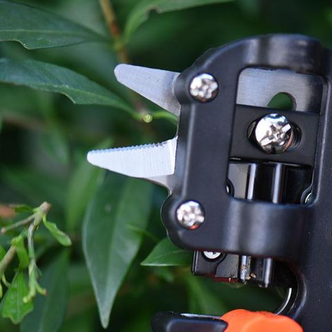 Lisslune | Refinement scissors for garden – Precise cutting tools for grafting and refining plants