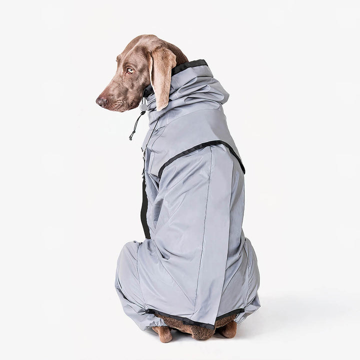 Lisslune | Reflective All-Weather Waterproof Cool Dog Accessories Raincoat