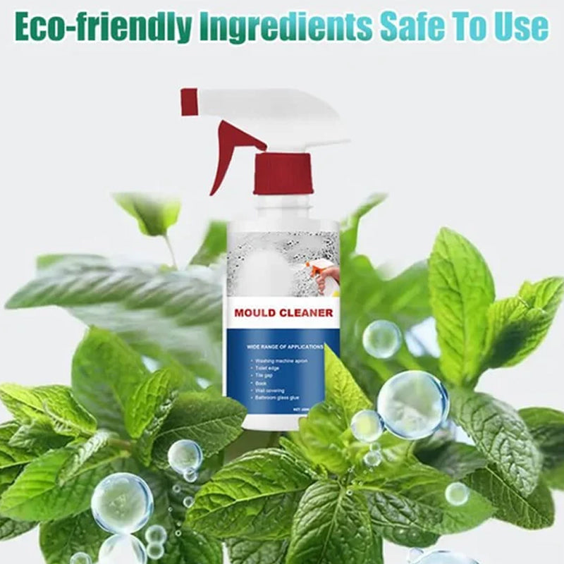 Lisslune | Mold Cleaner Foam