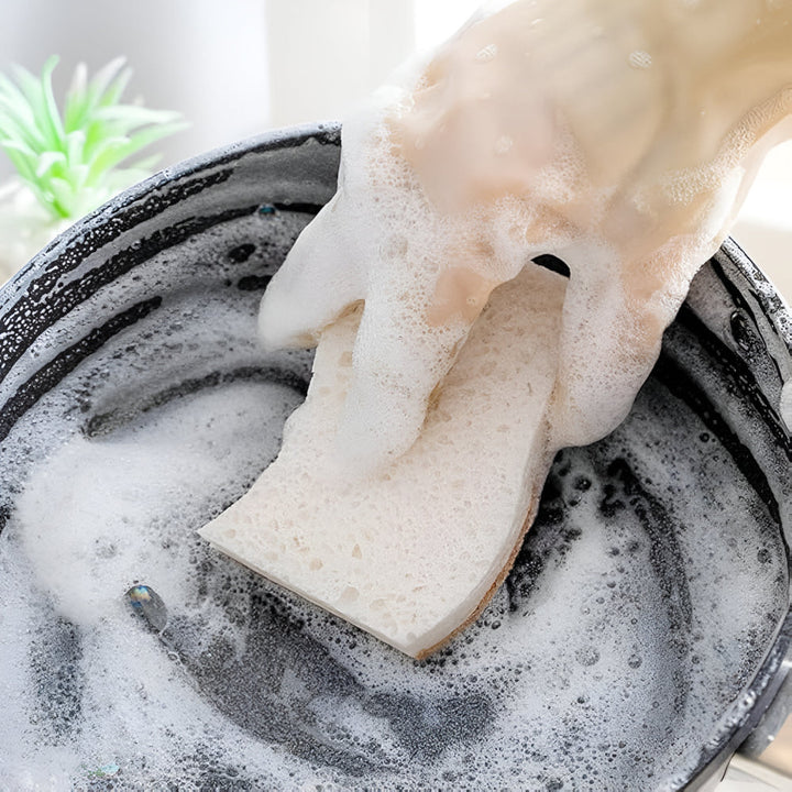Lisslune | Coconut Fiber Natural Dish Sponge