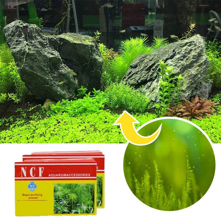 Lisslune | Cleaning Powder for Aquarium
