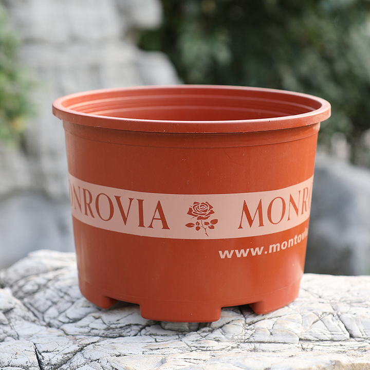 Lisslune | Robust Plant Pot Made of Plastic – Weatherproof Flower Pot for Garden and Balcony