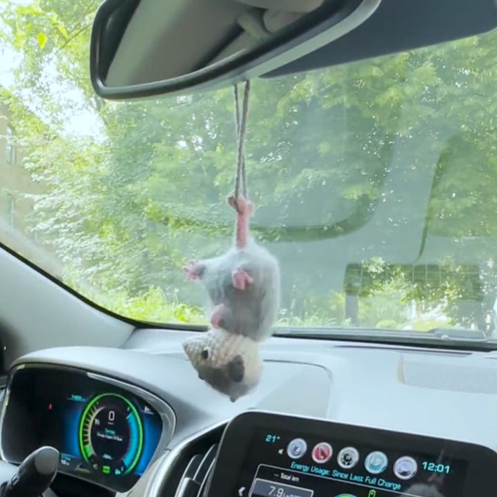 Lisslune | Possum Auto Charm