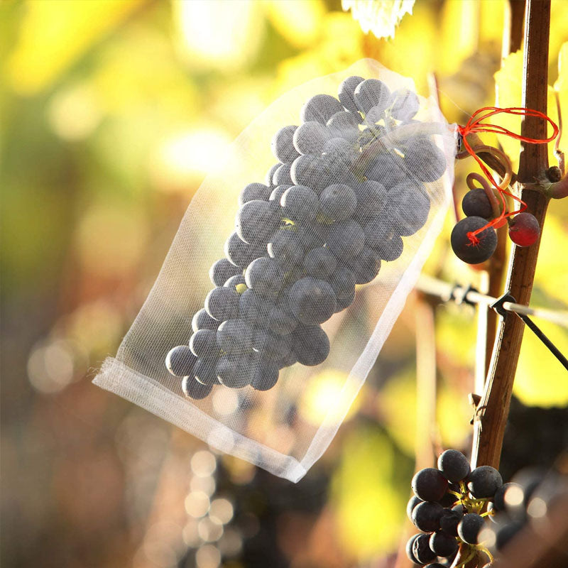 Lisslune | Nylon Fruit Exclusion Bags (100 pcs)