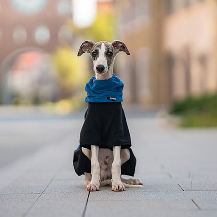 Lisslune | Full Protection Polar Fleece Dog Overall with Removable Collar
