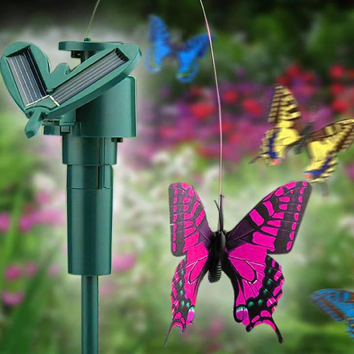 Lisslune | Solar-powered dancing hummingbird and butterfly