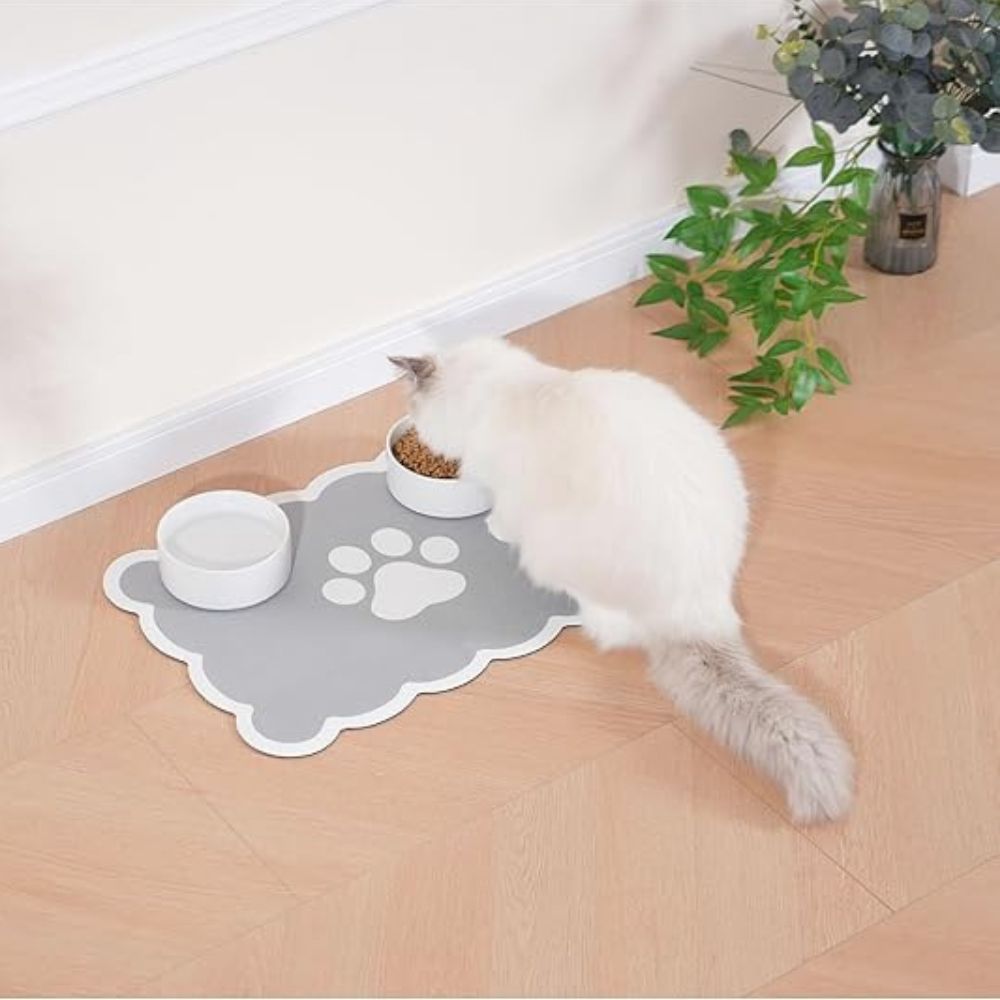 Lisslune | Pawfect Non-Slip Pet Mat