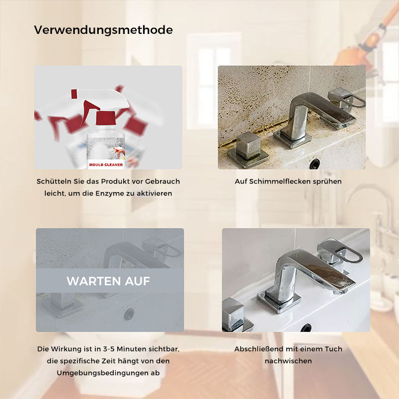 Lisslune | Anti-Mold Cleaning Foam