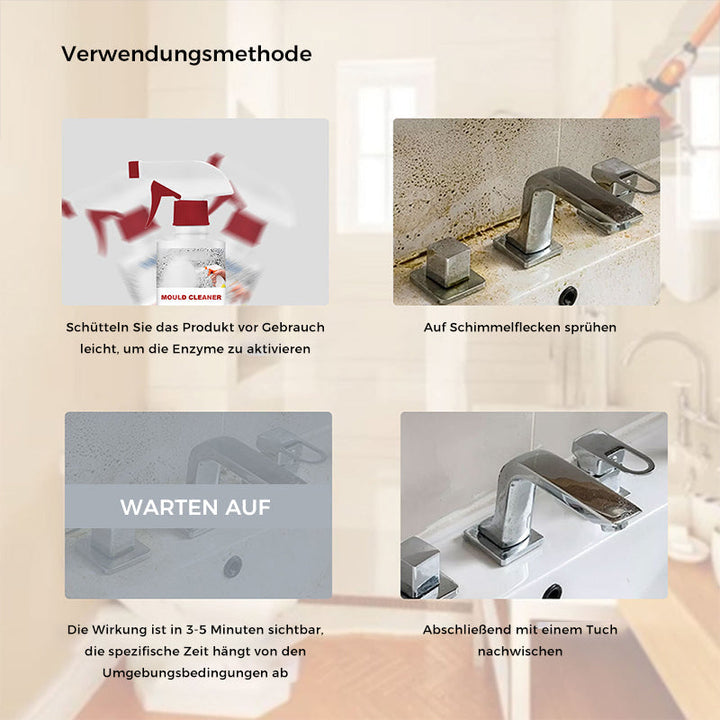 Lisslune | Anti-Mold Cleaning Foam