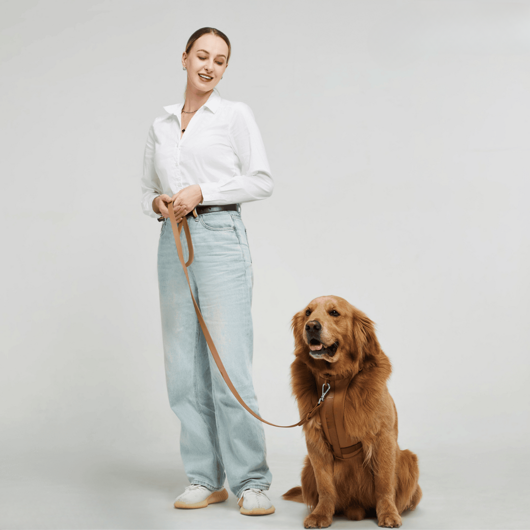 Lisslune | ComfyPaws Dog Harness Walking Set with Leash and Poop Bag Holder