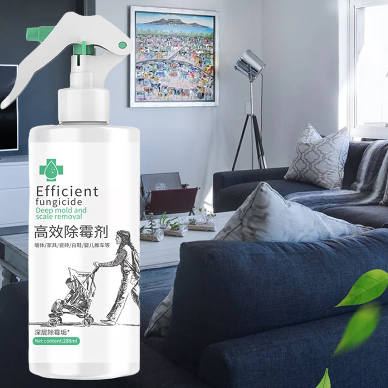 Lisslune | High-Efficiency Mold Remover