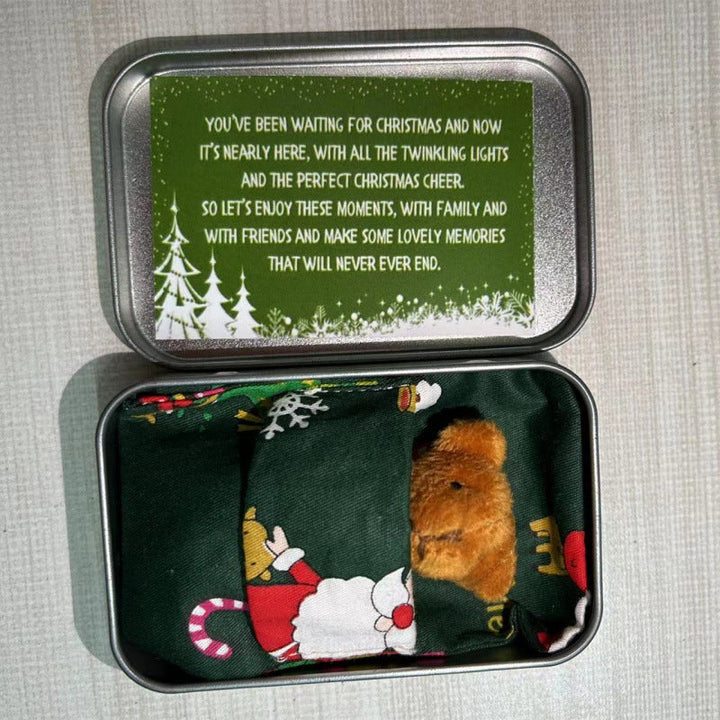 Lisslune | Teddy Bear Christmas Gift