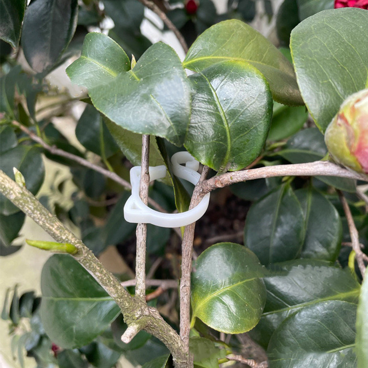 Lisslune | Cat-shaped Plant Clip – Cute Plant Support for Garden and House Plants