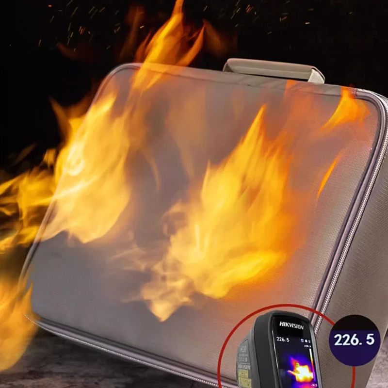Lisslune | Waterproof and fireproof sealable document storage bag
