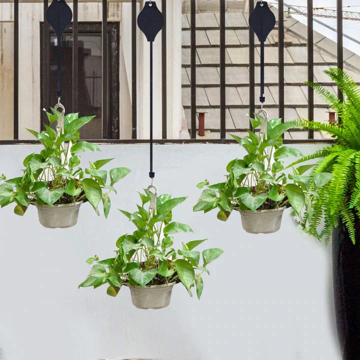 Lisslune | Plant Hanging Set - 4 Piece Set