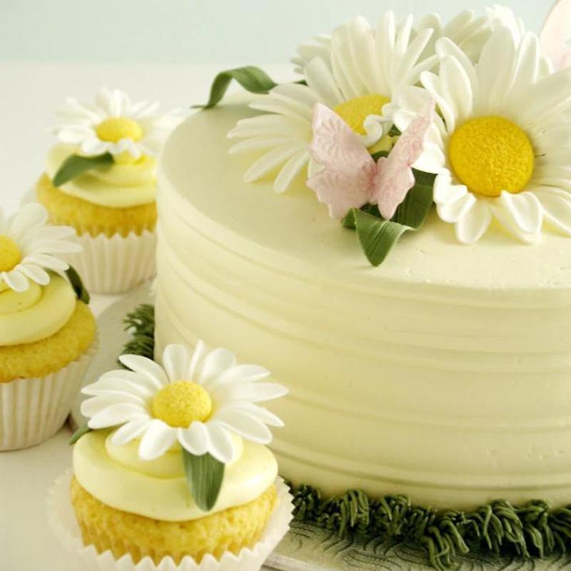 Lisslune | 33 piece tools for decorating cakes