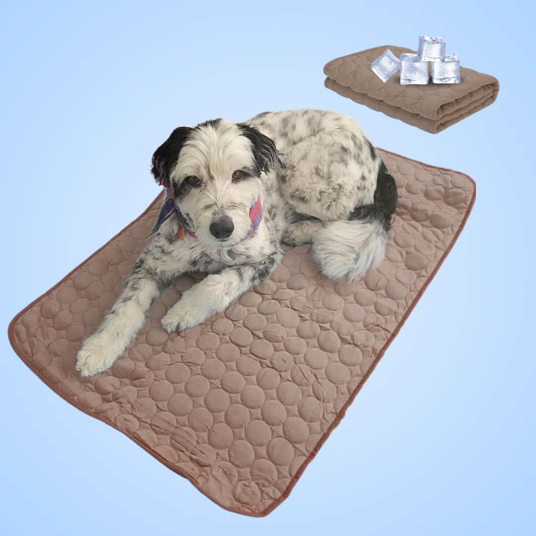 Lisslune | COOLTAILS - Premium Cooling Mat