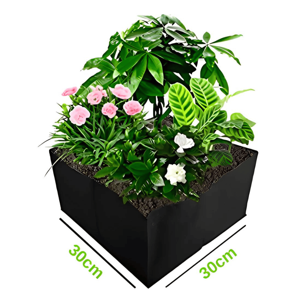 Lisslune | The Mini Vegetable Garden Organic - Grow Your Own Vegetables
