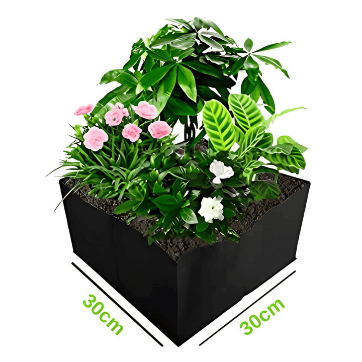 Lisslune | The Mini Vegetable Garden Organic - Grow Your Own Vegetables