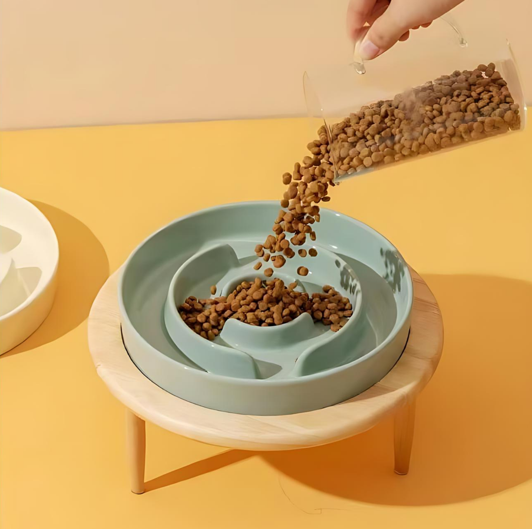 Lisslune | SlowCeramic - Elegant Craft Feeding Bowl for Pets