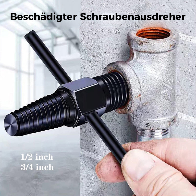 Lisslune | Double Head Screw Remover
