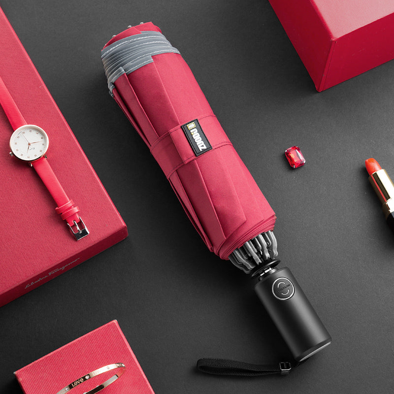 Lisslune | Windproof Reverse Folding Umbrella with LED, Auto Open/Close Design, Safe Reflective Tape & Sturdy 10 Ribs