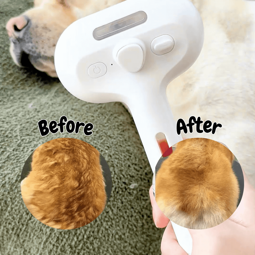 Lisslune | DampfVacht Steam Brush – Gentle Care for Every Dog Coat