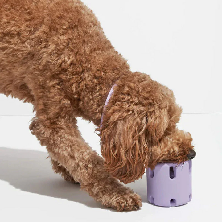 Lisslune | BounceChew - Dental care toy for dogs