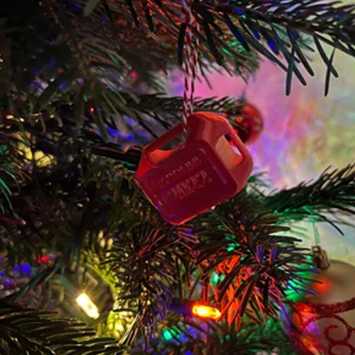Lisslune | Funny Christmas Money Ornament