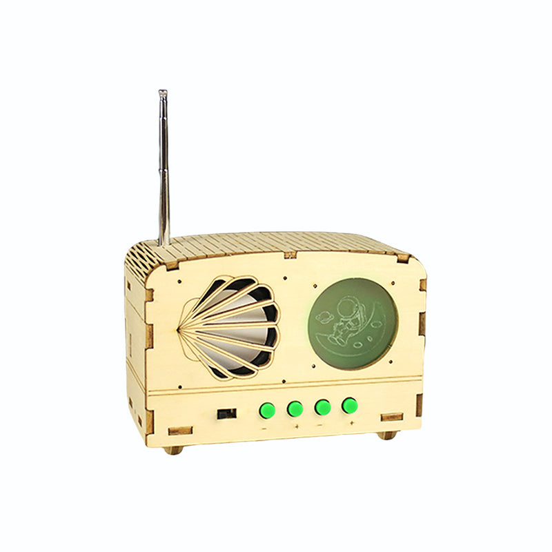 Lisslune | Kids Craft Radio Model