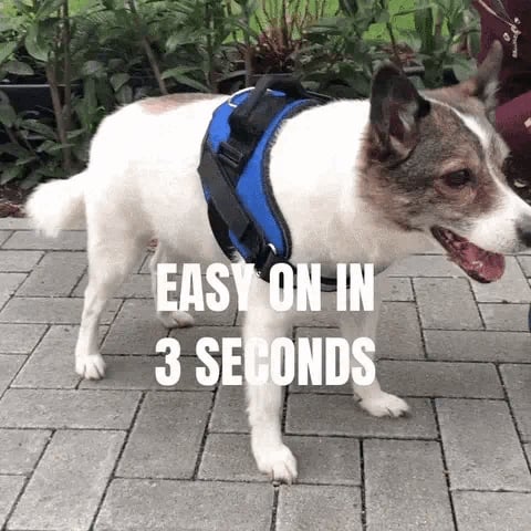 Lisslune | Anti Choke Dog Harness