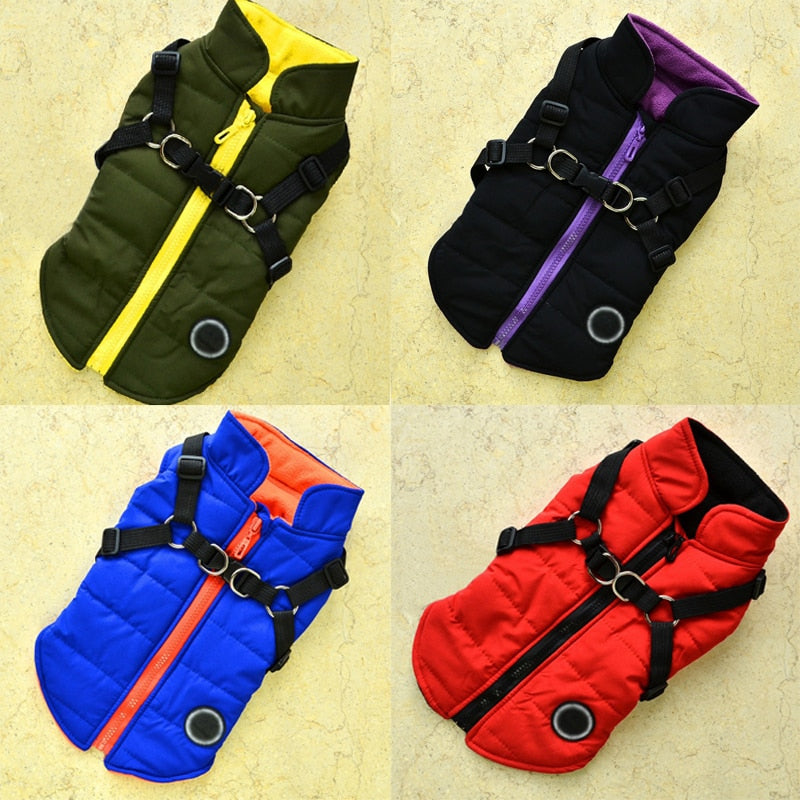 Lisslune | Waterproof pet coat with harness